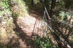 IMG_20250820_130554